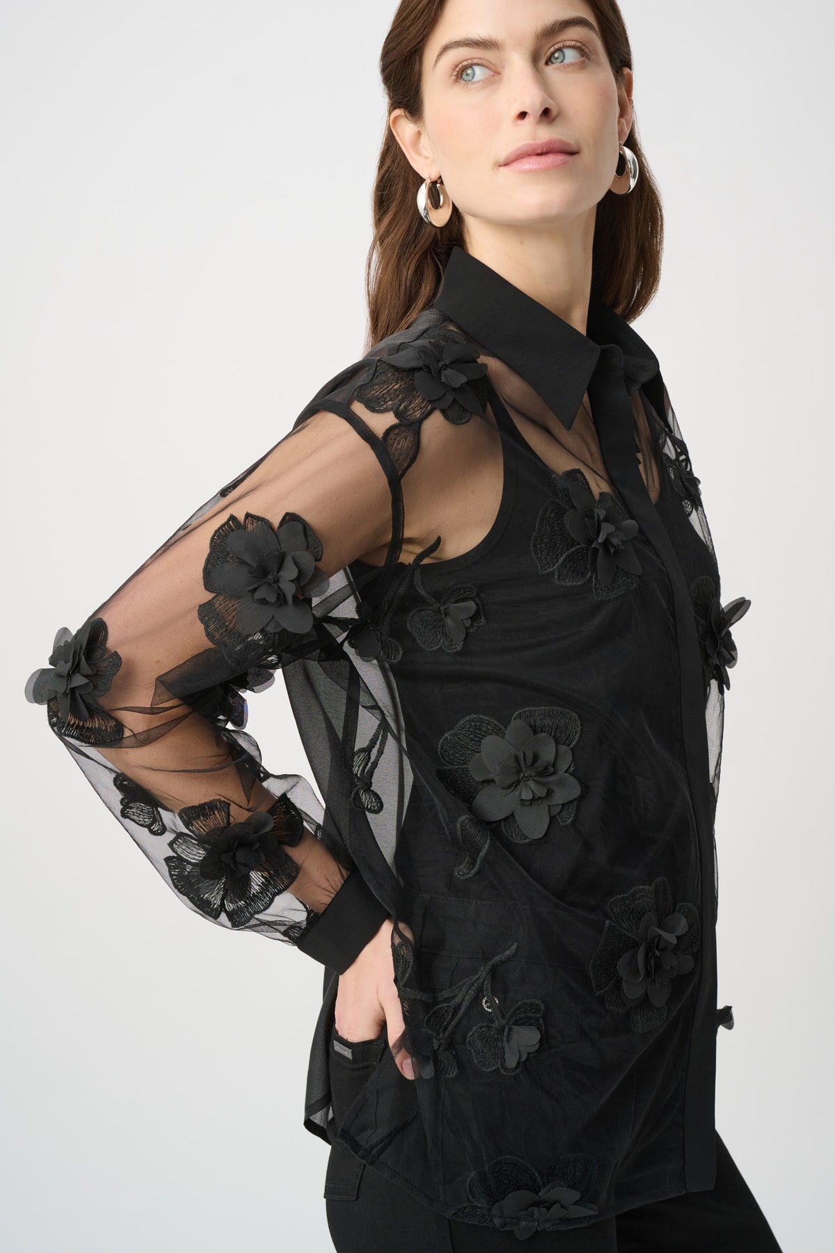 Embroidered Flower Applique Mesh Blouse