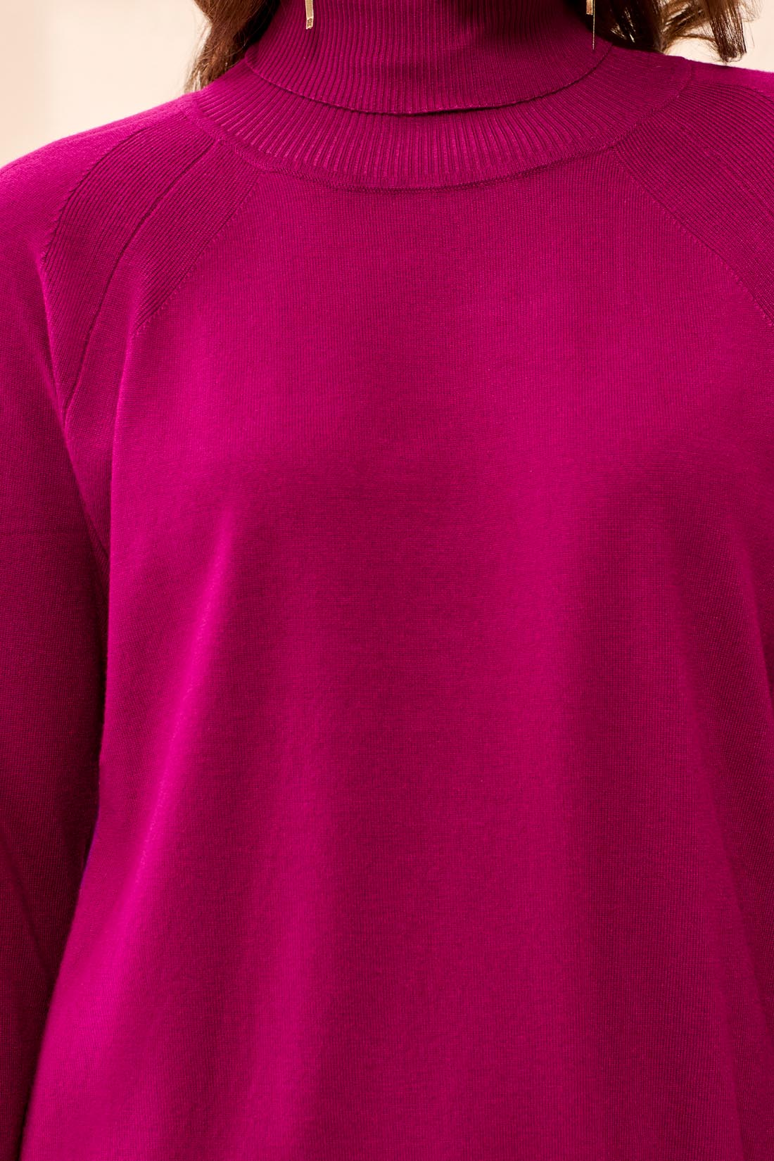 Turtle Neck Sweater