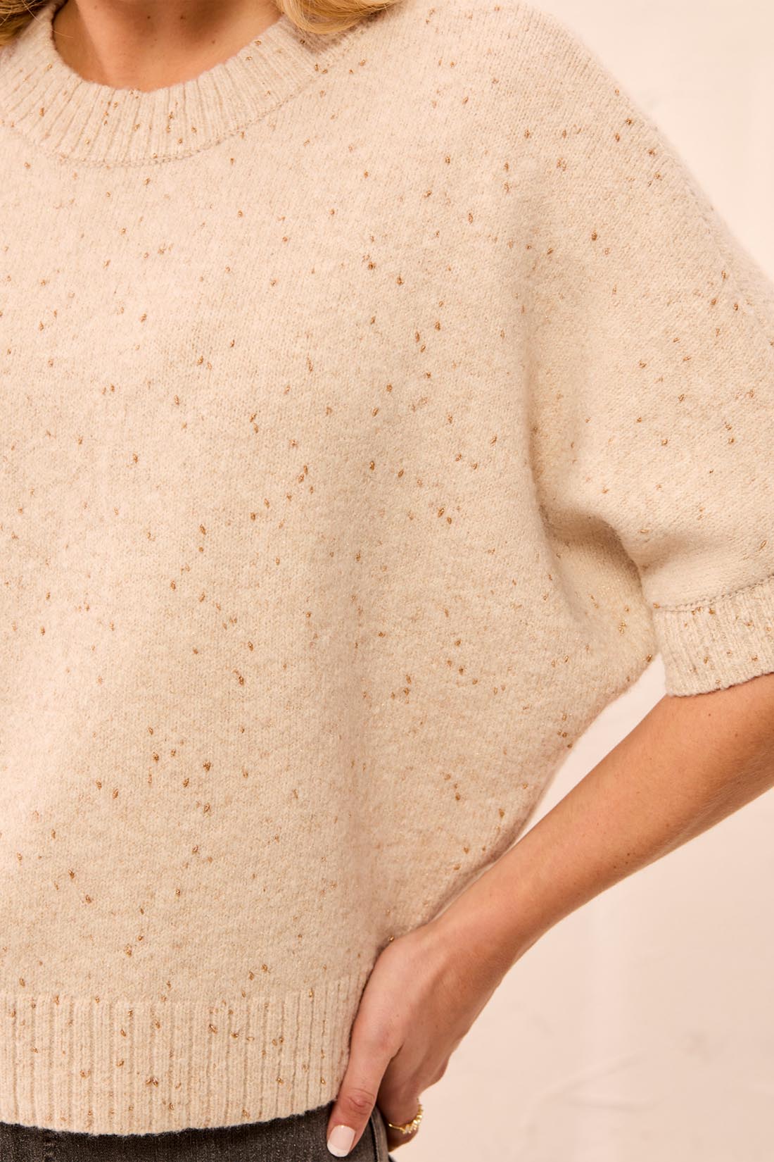Lurex Thread Crew Neck Sweater