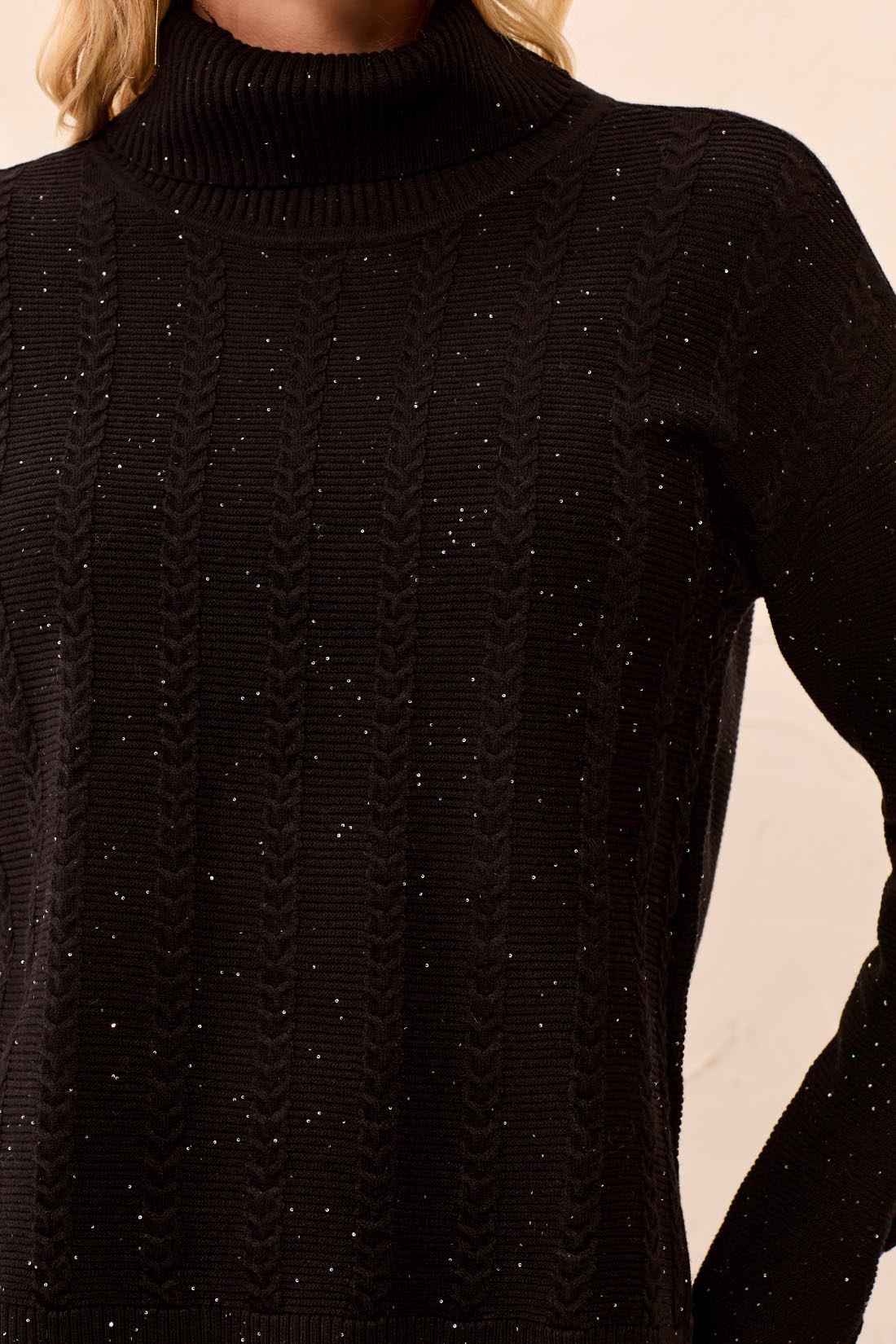 Turtle Neck Cable Sweater