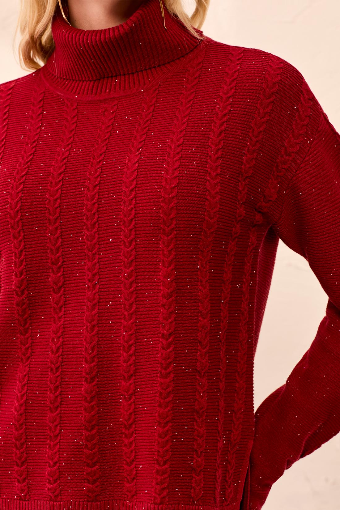 Turtle Neck Cable Sweater