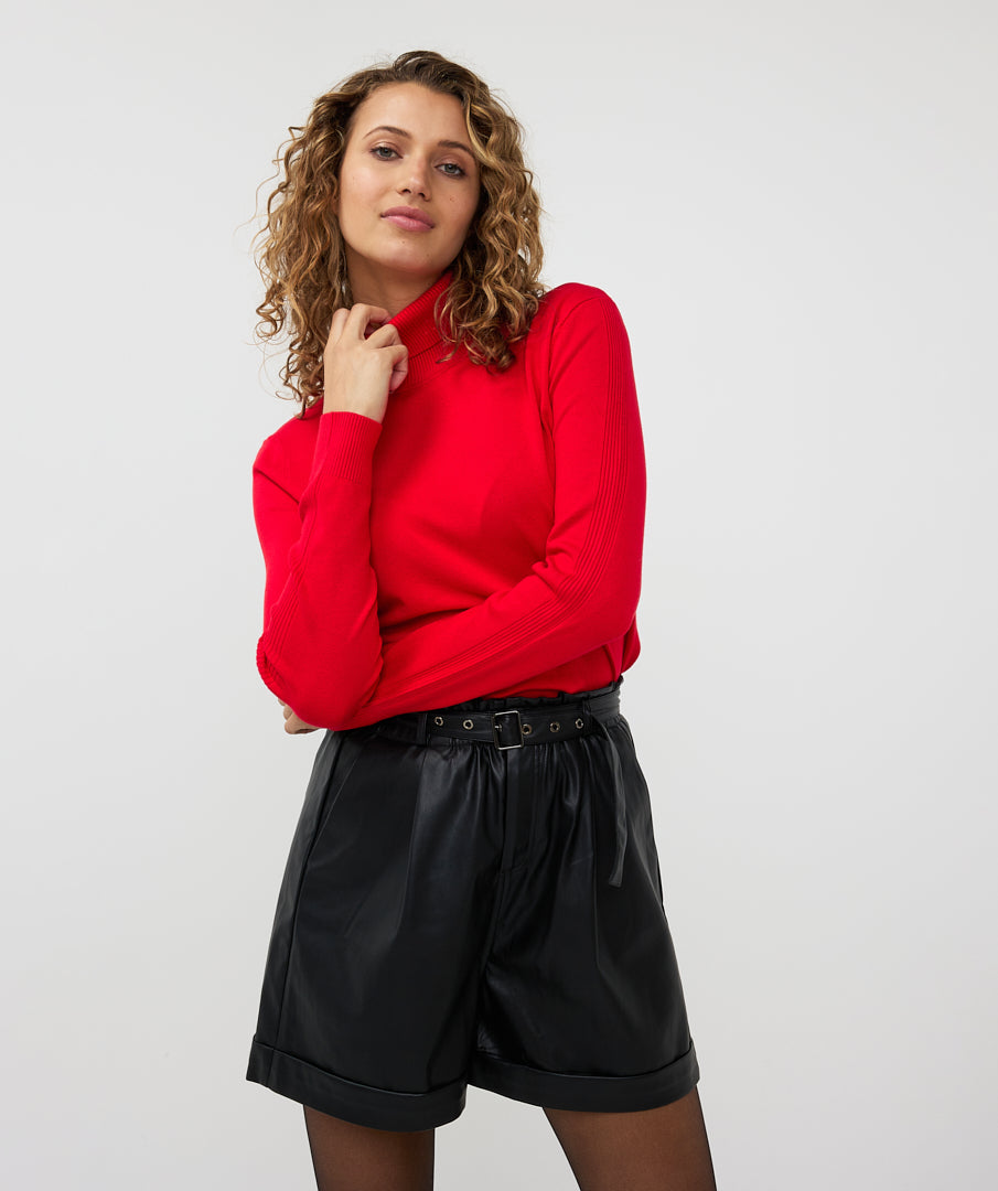Turtle Neck Pullover