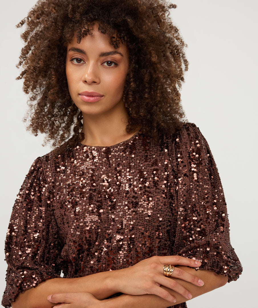 Sequin Balloon Sleeve Top